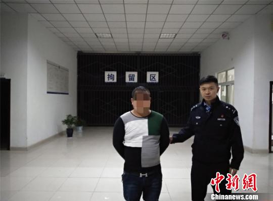 �Ĵ����ݣ�������ʻԱ������Ȧ��������о�5��