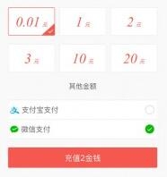 �����ϡ����ֳ�ֵ ֧����΢�ų�ֵ Discuz���/dz��̳��� ���ײ�